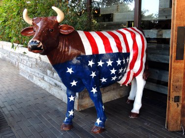 Searsucker Del Mar cow